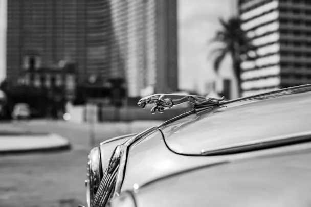 Golden Reels Casino Android/iOS App